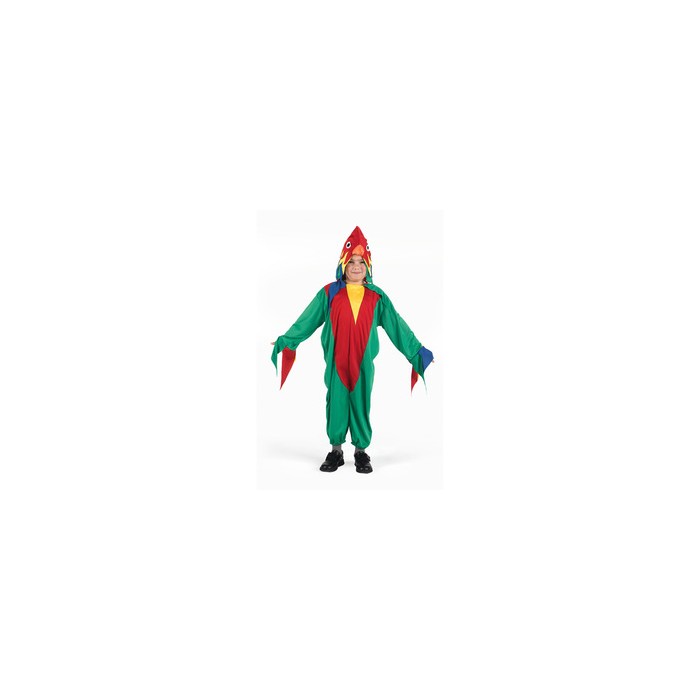 Disfraz loro