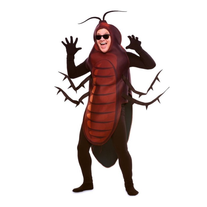 Disfraz cucaracha | Ducaval | Envíos 24/48 horas