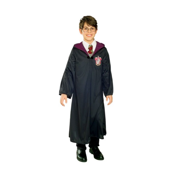 Disfraz de Harry Potter | Ducaval | Envíos 24/48 horas