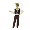 Disfraz Shrek infantil | Ducaval | Envías 24/48 horas 
