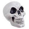 Calavera Decorativa 15cm  | Ducaval | Envíos 24/48h