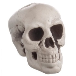 Calaveras Decorativas 6ud | Ducaval | Envíos 24/48 horas
