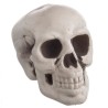 Calaveras Decorativas 6ud | Ducaval | Envíos 24/48 horas