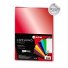 Cartulina metalizada 50x65cm rojo | Ducaval | envíos 24/48h