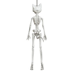 Esqueleto De Gato Colgante 37 Cm | Ducaval | Envías 24/48 horas 