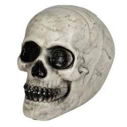 Calavera Blanca De 20 Cm | Ducaval | Envíos 24/48 horas 