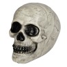 Calavera Blanca De 20 Cm | Ducaval | Envíos 24/48 horas 