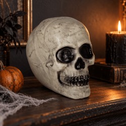 Calavera Blanca De 20 Cm | Ducaval | Envíos 24/48 horas 
