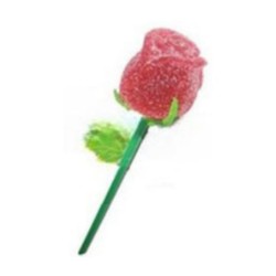 Rosa pectina