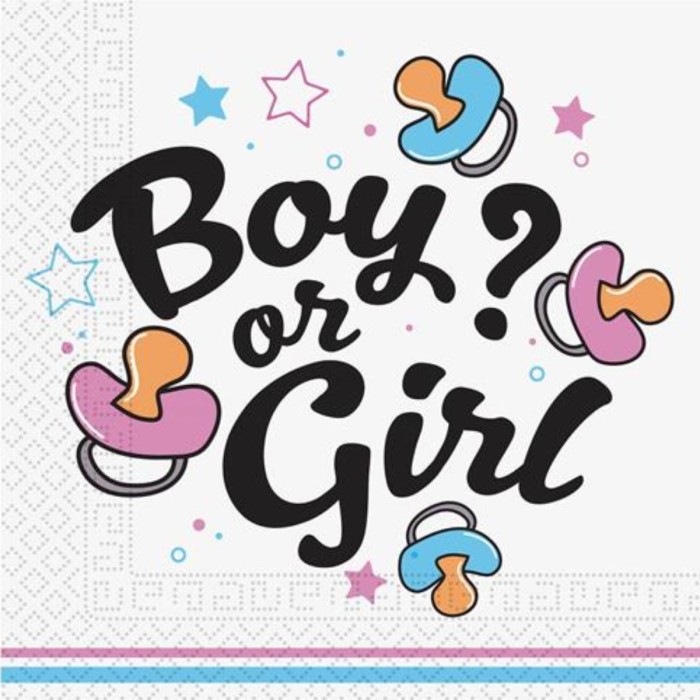 Servilletas girl or boy 33x33cm 20ud  | Ducaval | Envíos 24/48 h