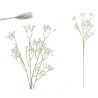 Vara gypso 66cm blanco| Ducaval | Envías 24/48 horas 