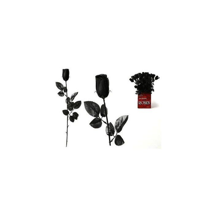 Rosa Gótica negra |Ducaval | Envíos 24/48 horas