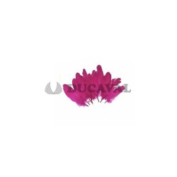 Plumas duro fucsia 15cm 10ud | Ducaval | Envíos 24/48 horas