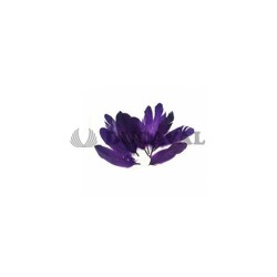 Plumas duro moradas 15cm 10ud | Ducaval | Envíos 24/48h