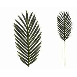 Vara hoja areca 62 cm  | Ducaval | Envías 24/48 horas 
