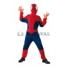 Disfraz de Spider Héroe