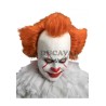 Peluca Payaso IT