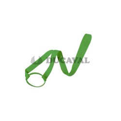 Lanyard portavasos Frinly verde | Ducaval | Envíos 24/48 horas