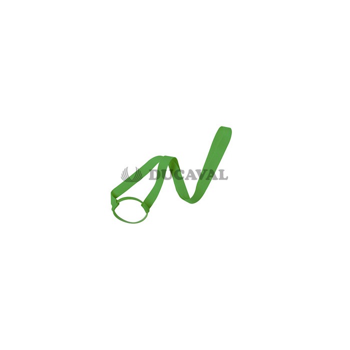 Lanyard portavasos Frinly verde | Ducaval | Envíos 24/48 horas