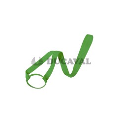 Lanyard portavasos Frinly verde | Ducaval | Envíos 24/48 horas